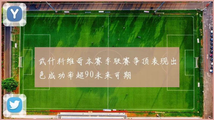武什科维奇本赛季联赛争顶表现出色成功率超90未来可期