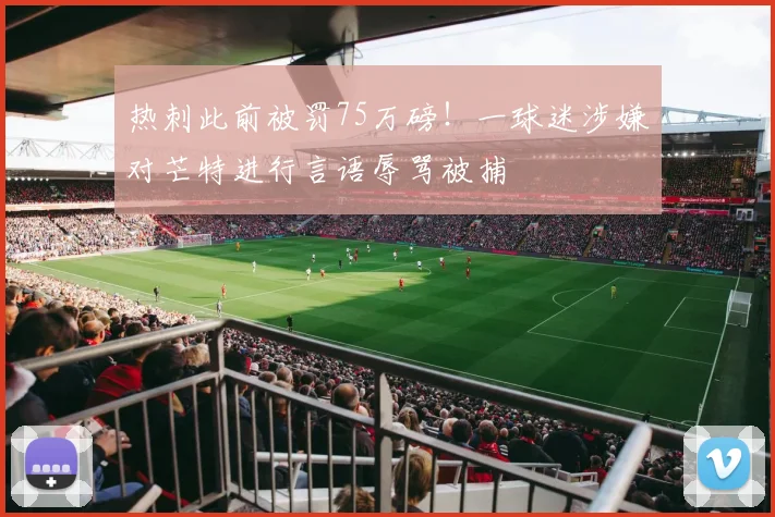 热刺此前被罚75万磅！一球迷涉嫌对芒特进行言语辱骂被捕
