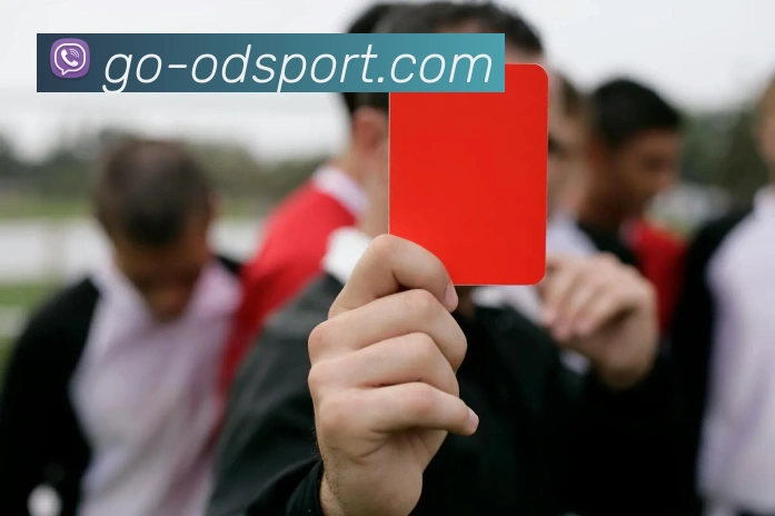 OD体育平台生态图